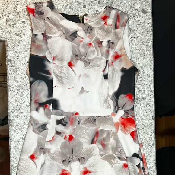 Calvin Klein Floral Scuba Dress, size 6, Floral Colors: white, black and red. - Picture 3 of 7